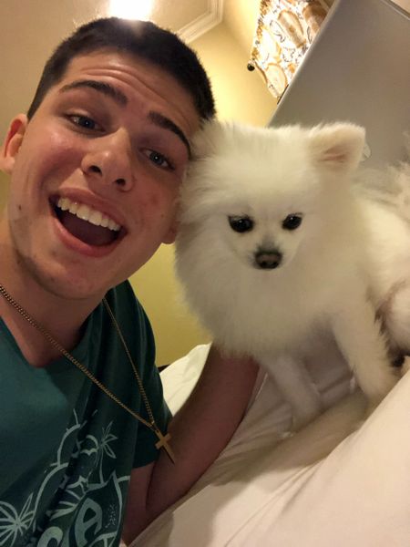 Pet Test